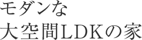 モダンな大空間LDKの家